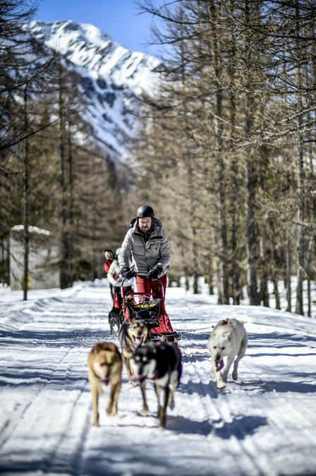 Stars on the Slopes - Gallery Image #388
